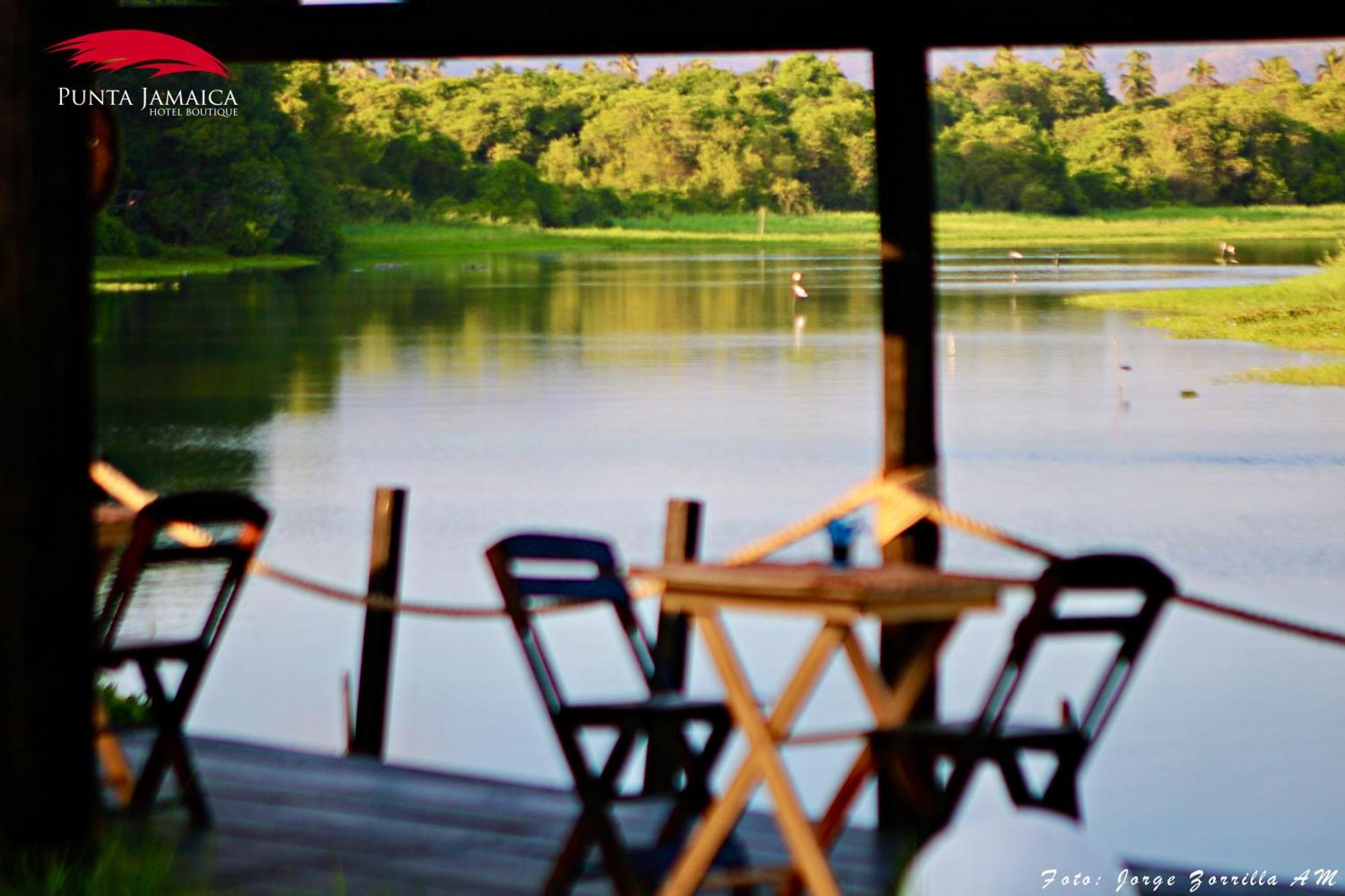 Hotel Boutique Punta Jamaica อากาปุลโก ภายนอก รูปภาพ