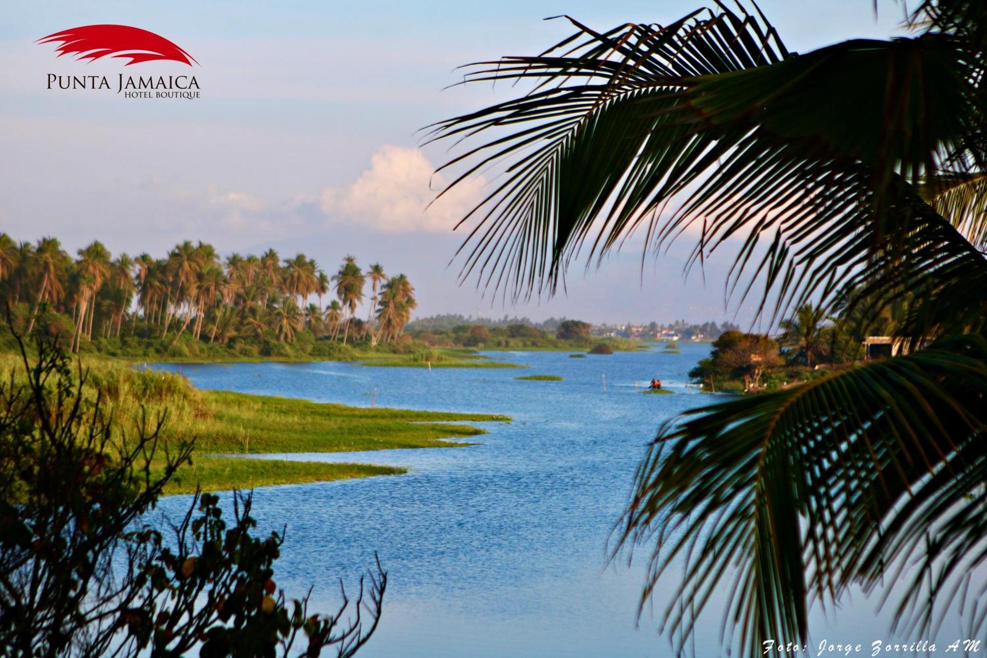 Hotel Boutique Punta Jamaica อากาปุลโก ภายนอก รูปภาพ