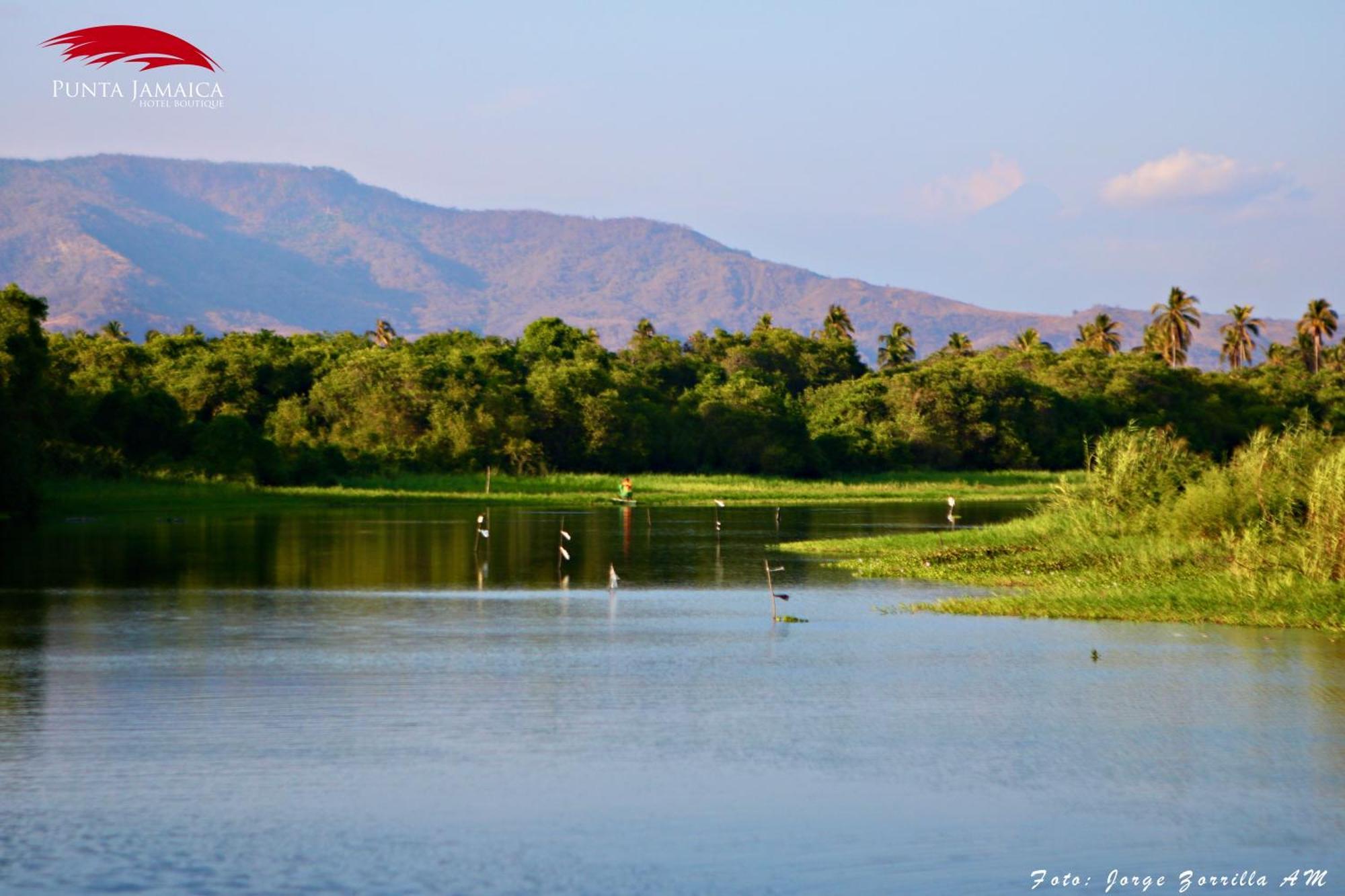 Hotel Boutique Punta Jamaica อากาปุลโก ภายนอก รูปภาพ